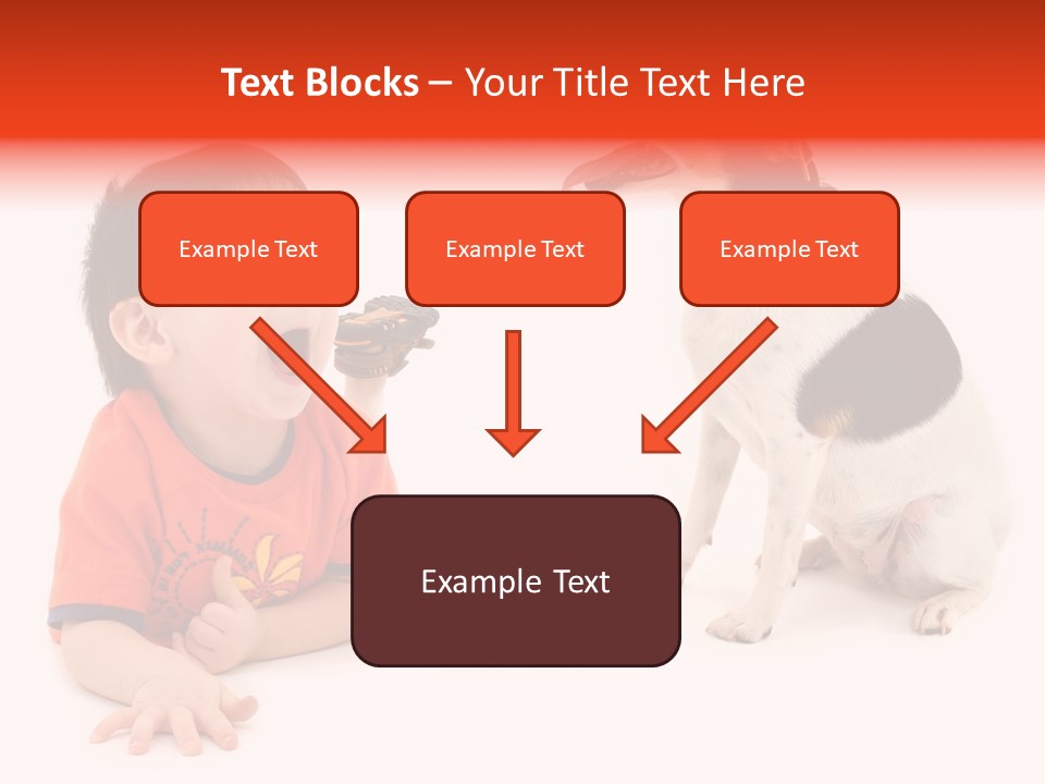 Toddler Boy On Floor Playing With Dog. Shot In Studio Over White. PowerPoint Template