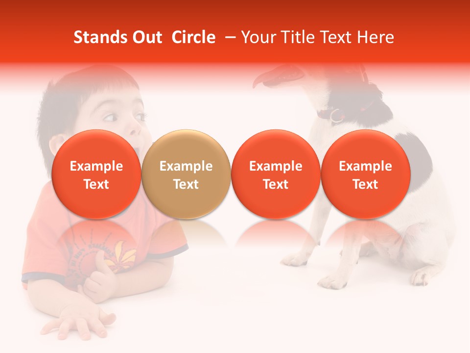 Toddler Boy On Floor Playing With Dog. Shot In Studio Over White. PowerPoint Template