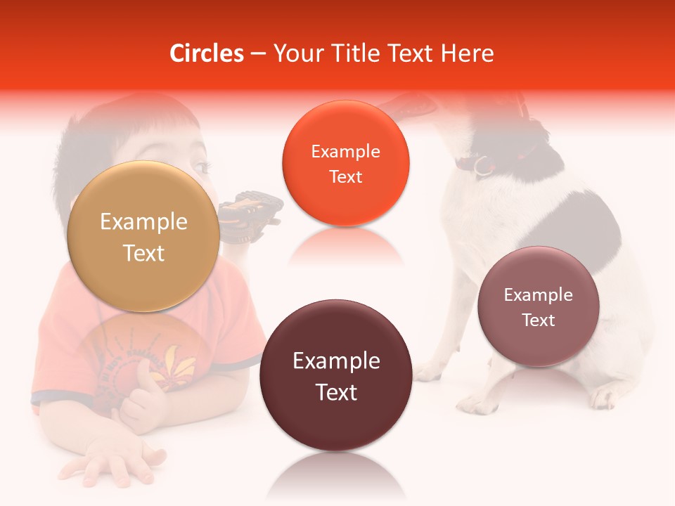 Toddler Boy On Floor Playing With Dog. Shot In Studio Over White. PowerPoint Template