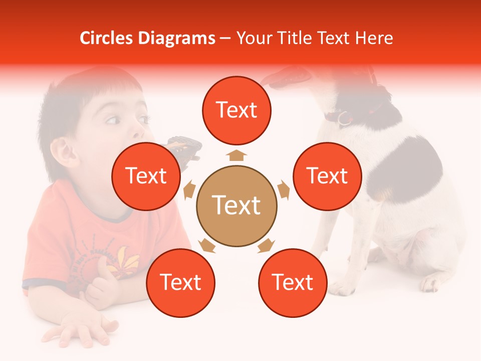 Toddler Boy On Floor Playing With Dog. Shot In Studio Over White. PowerPoint Template