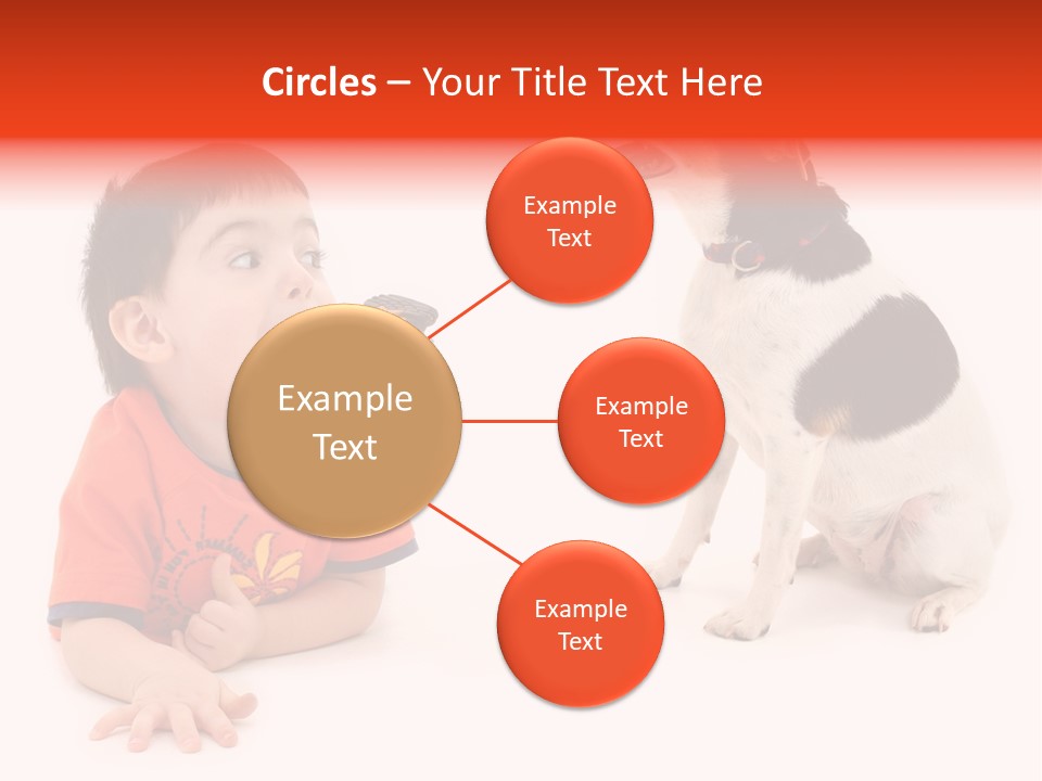 Toddler Boy On Floor Playing With Dog. Shot In Studio Over White. PowerPoint Template