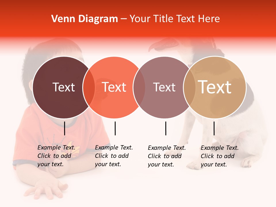 Toddler Boy On Floor Playing With Dog. Shot In Studio Over White. PowerPoint Template