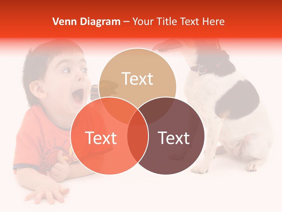 Toddler Boy On Floor Playing With Dog. Shot In Studio Over White. PowerPoint Template