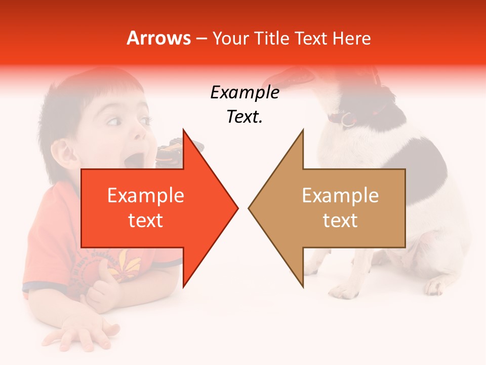 Toddler Boy On Floor Playing With Dog. Shot In Studio Over White. PowerPoint Template