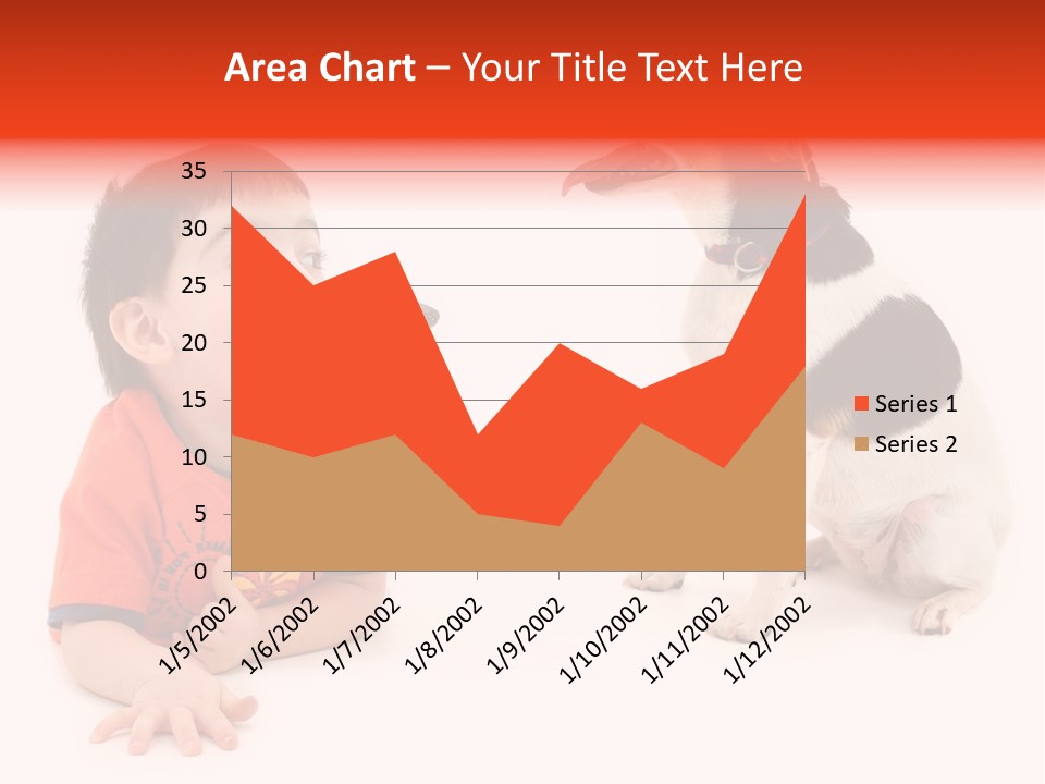Toddler Boy On Floor Playing With Dog. Shot In Studio Over White. PowerPoint Template
