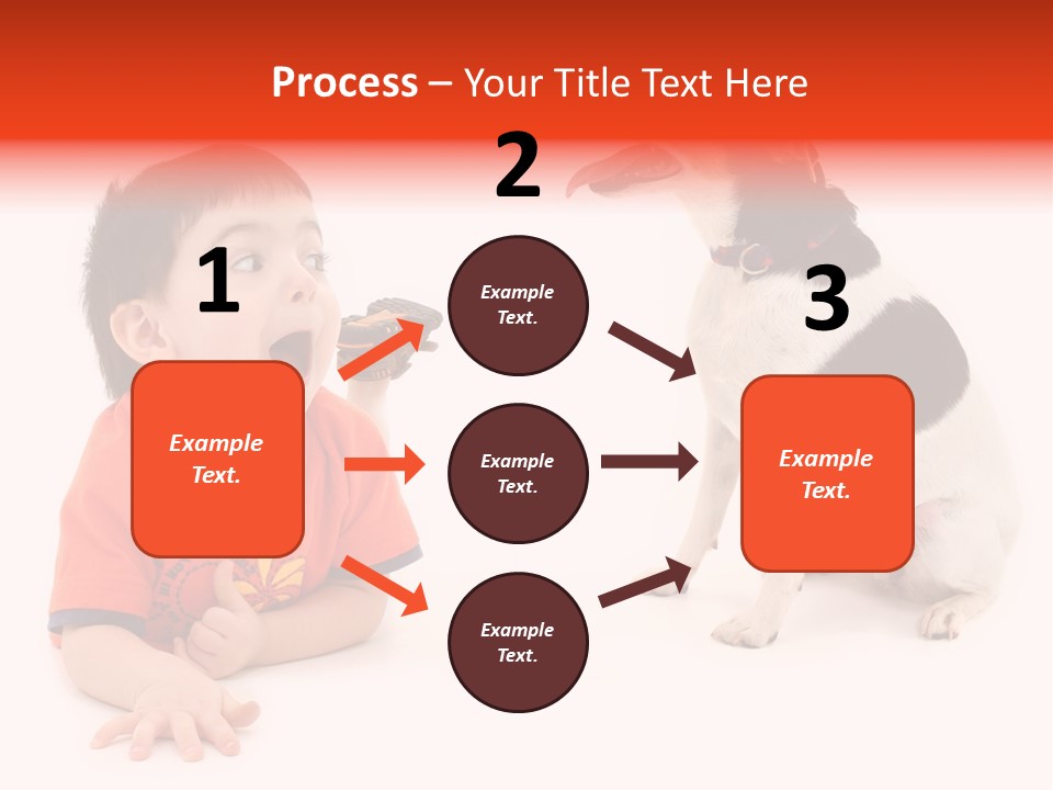 Toddler Boy On Floor Playing With Dog. Shot In Studio Over White. PowerPoint Template