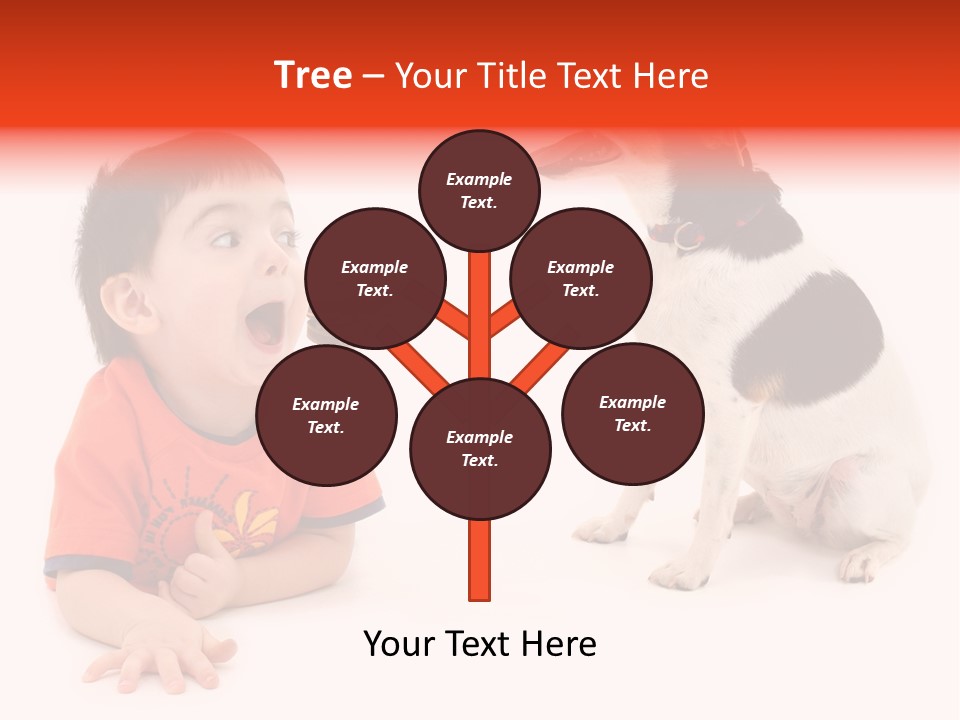 Toddler Boy On Floor Playing With Dog. Shot In Studio Over White. PowerPoint Template