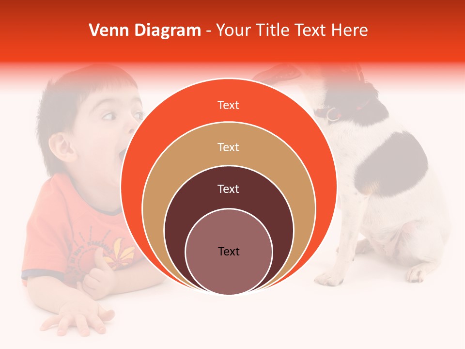 Toddler Boy On Floor Playing With Dog. Shot In Studio Over White. PowerPoint Template