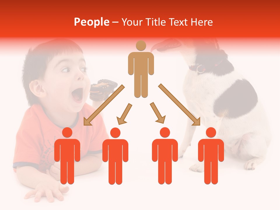 Toddler Boy On Floor Playing With Dog. Shot In Studio Over White. PowerPoint Template