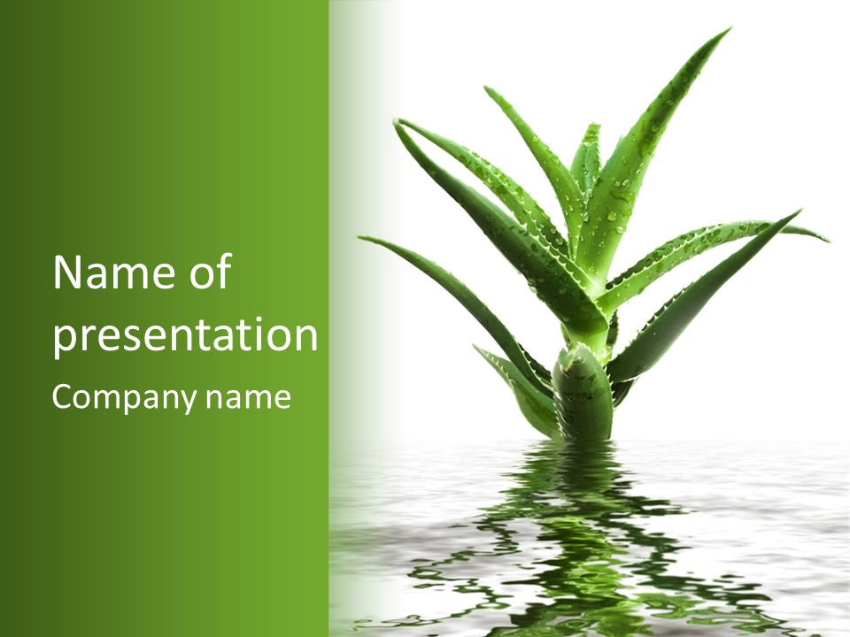 Hotel Lobby PowerPoint Template