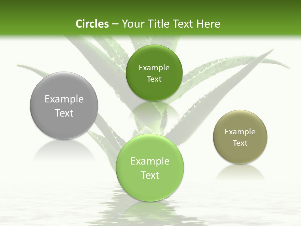 Hotel Lobby PowerPoint Template