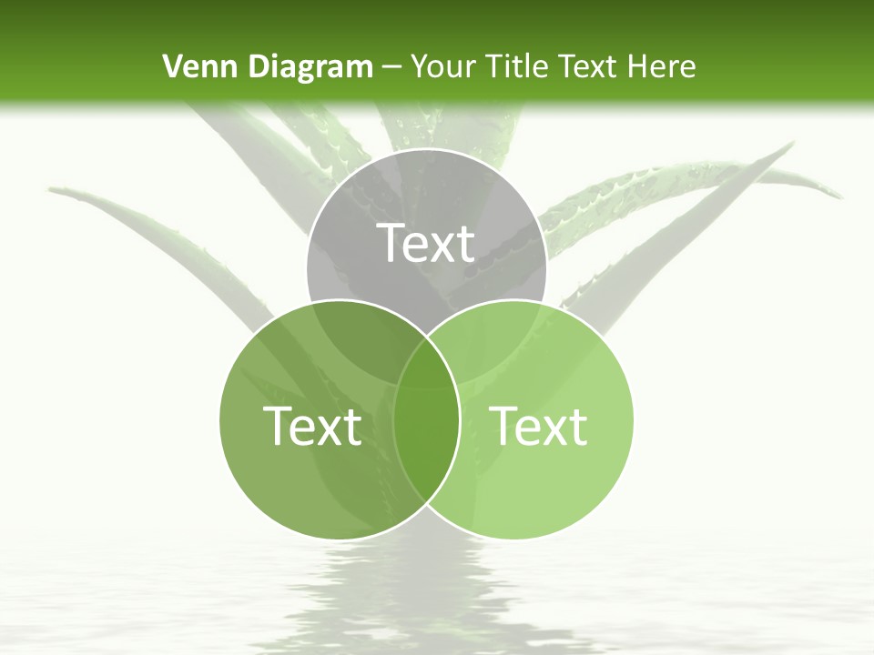 Hotel Lobby PowerPoint Template