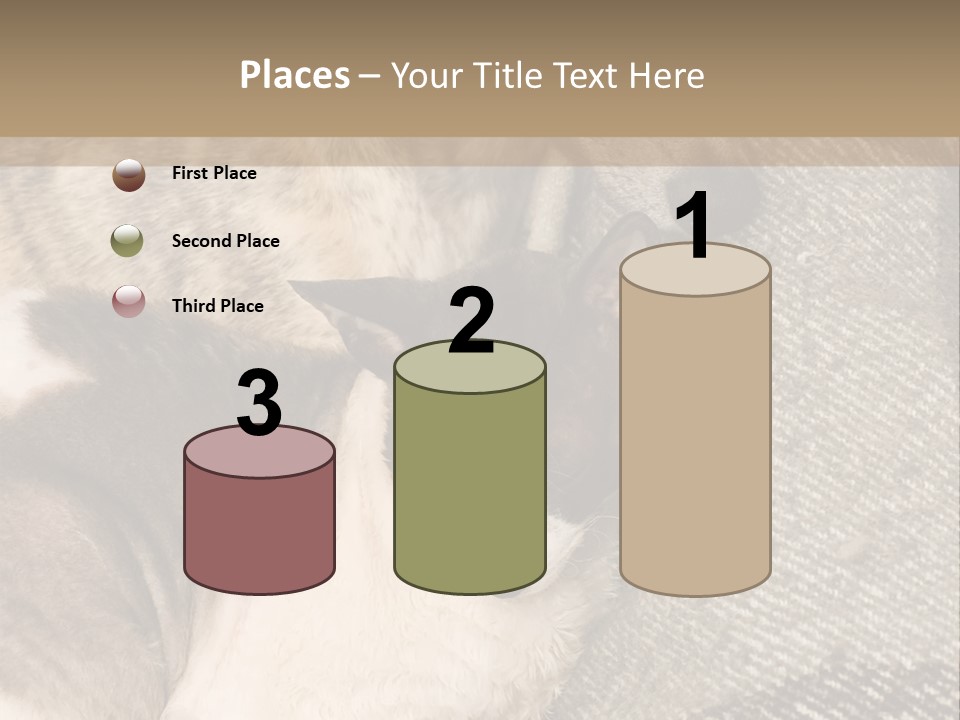 Elderly Woman With Her Daughter PowerPoint Template