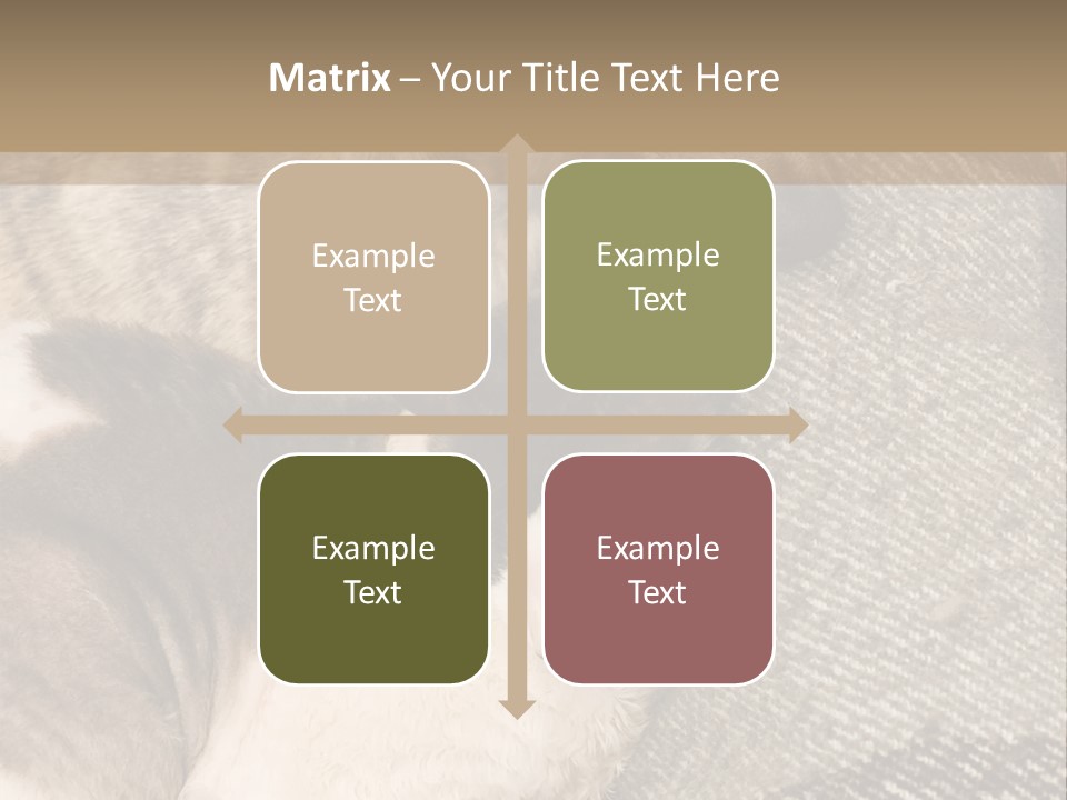 Elderly Woman With Her Daughter PowerPoint Template