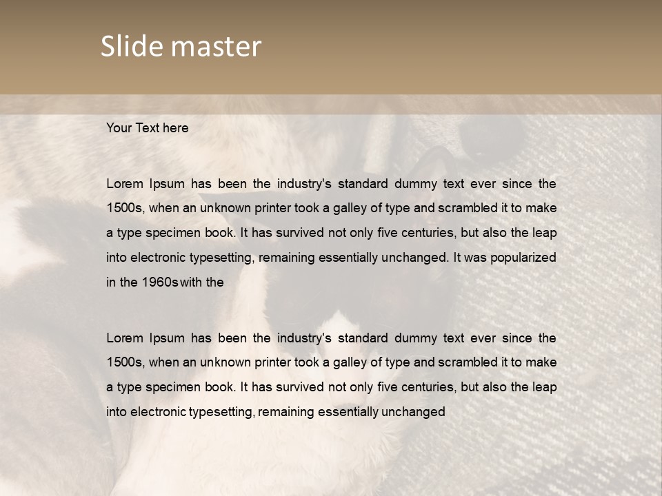 Elderly Woman With Her Daughter PowerPoint Template