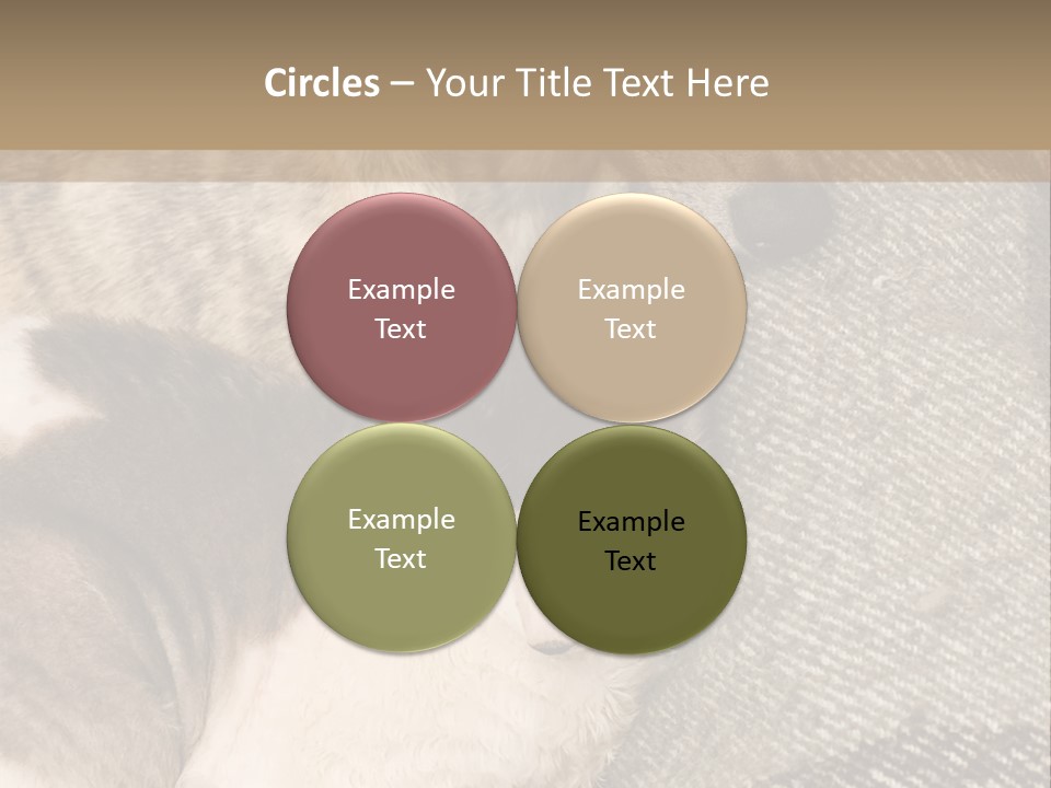 Elderly Woman With Her Daughter PowerPoint Template