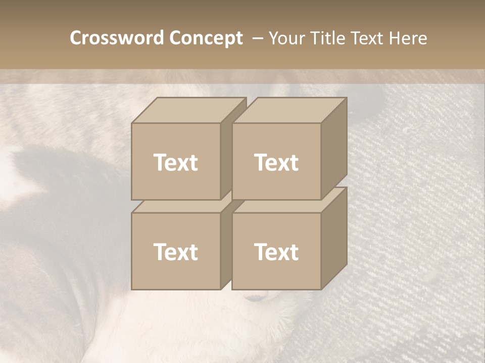 Elderly Woman With Her Daughter PowerPoint Template