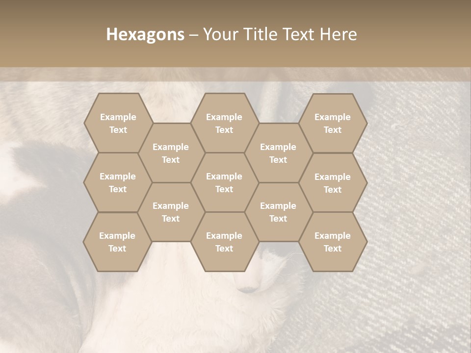 Elderly Woman With Her Daughter PowerPoint Template