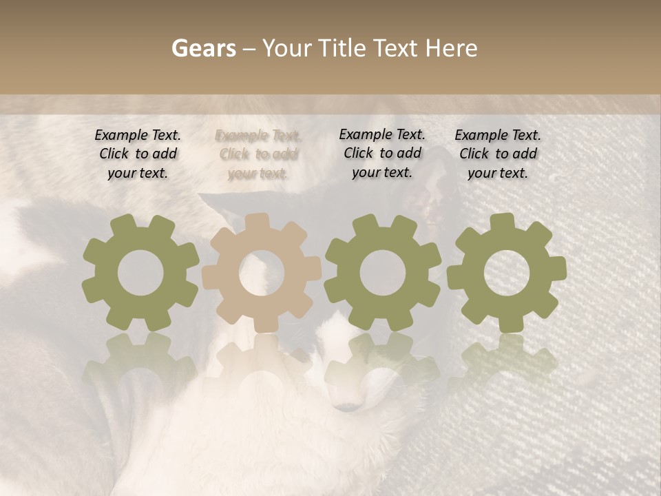 Elderly Woman With Her Daughter PowerPoint Template