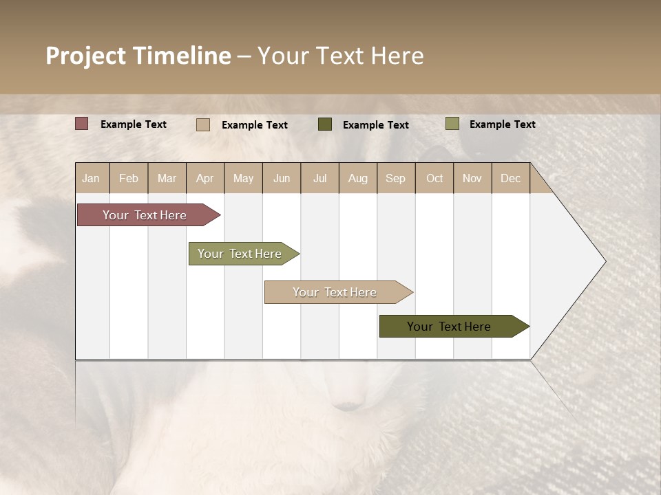 Elderly Woman With Her Daughter PowerPoint Template