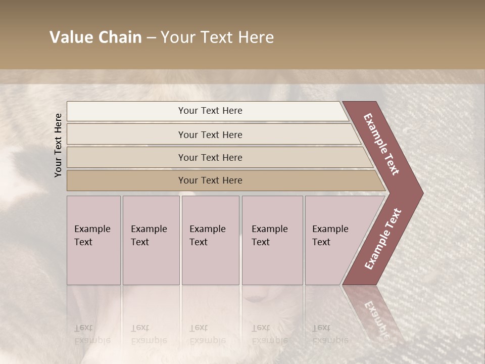 Elderly Woman With Her Daughter PowerPoint Template