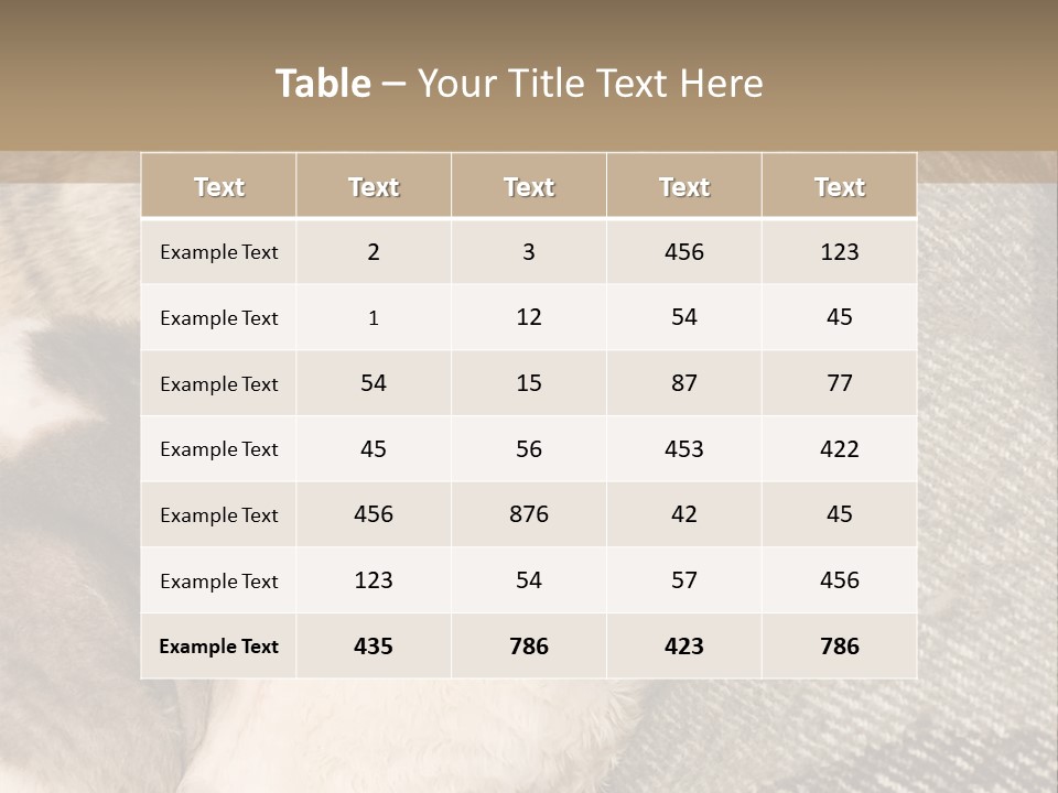 Elderly Woman With Her Daughter PowerPoint Template