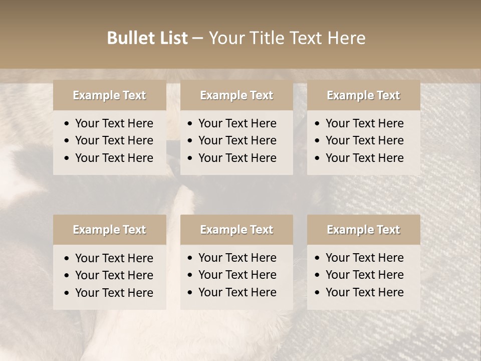 Elderly Woman With Her Daughter PowerPoint Template