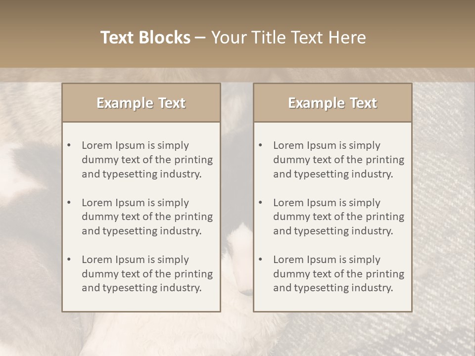 Elderly Woman With Her Daughter PowerPoint Template