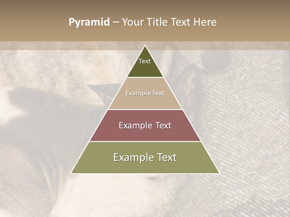 Elderly Woman With Her Daughter PowerPoint Template