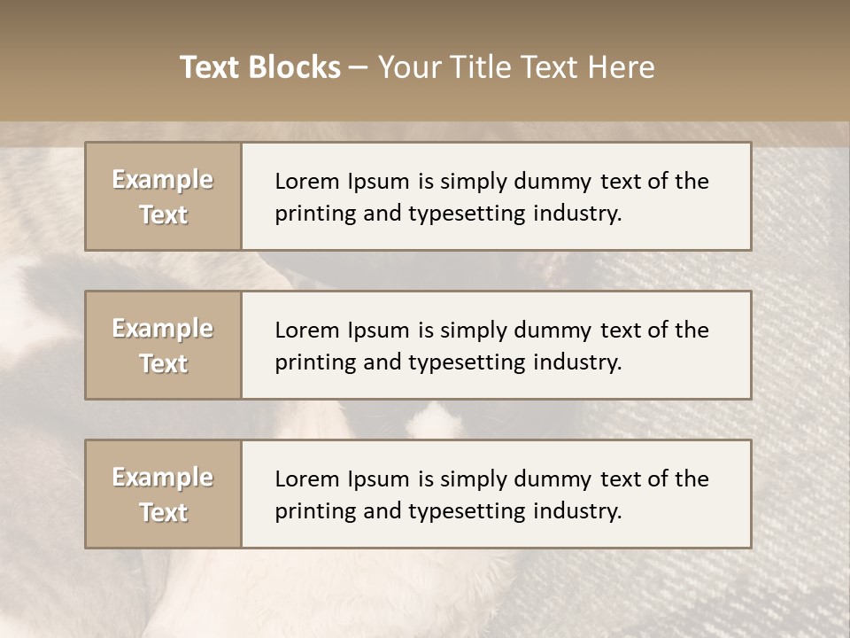 Elderly Woman With Her Daughter PowerPoint Template