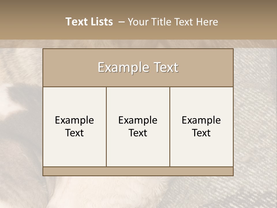 Elderly Woman With Her Daughter PowerPoint Template