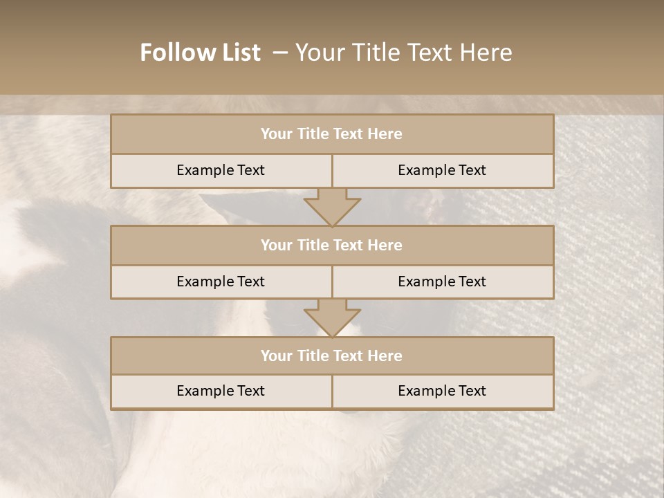 Elderly Woman With Her Daughter PowerPoint Template