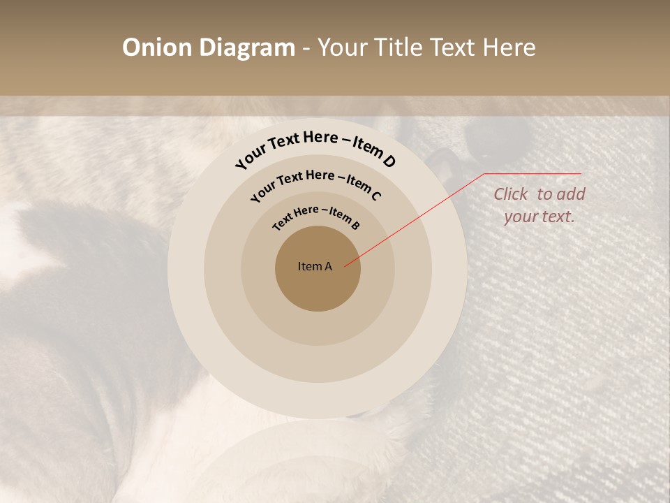 Elderly Woman With Her Daughter PowerPoint Template