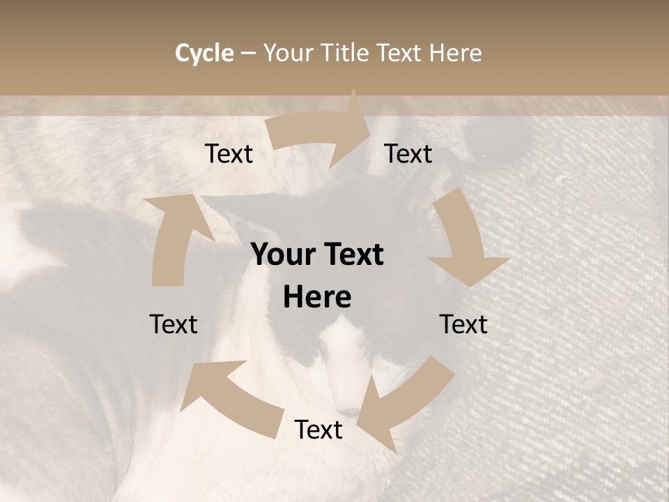 Elderly Woman With Her Daughter PowerPoint Template