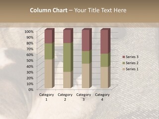 Elderly Woman With Her Daughter PowerPoint Template