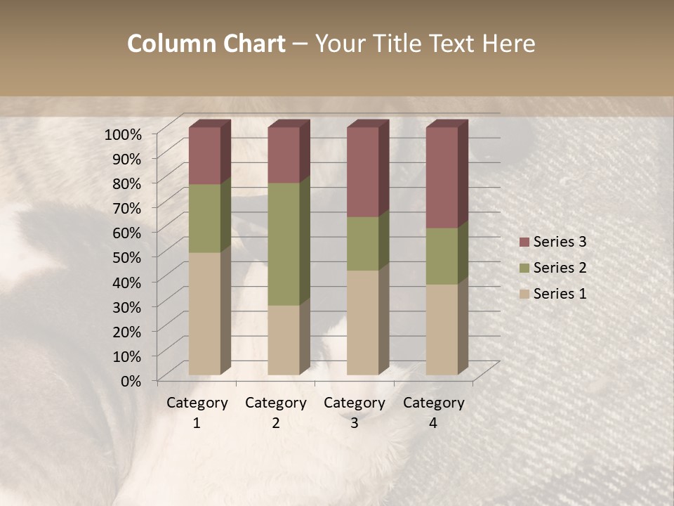 Elderly Woman With Her Daughter PowerPoint Template