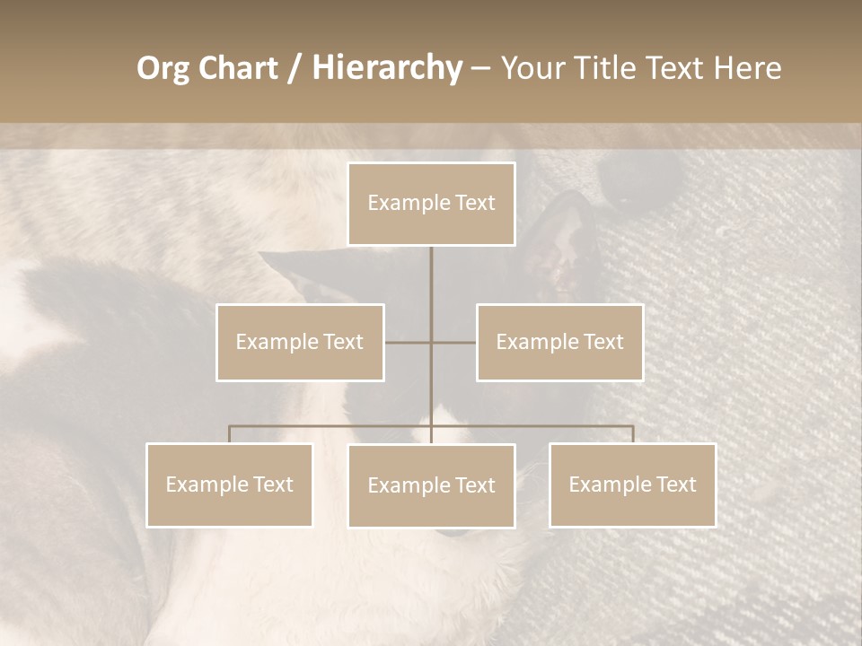 Elderly Woman With Her Daughter PowerPoint Template
