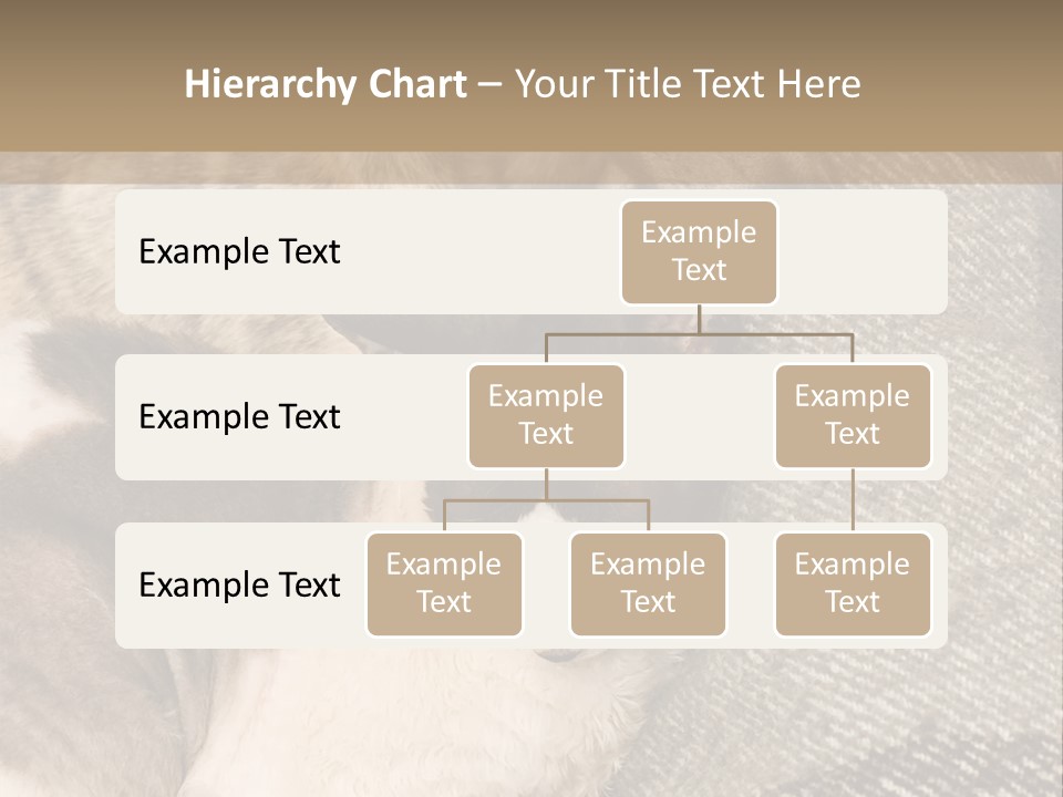 Elderly Woman With Her Daughter PowerPoint Template