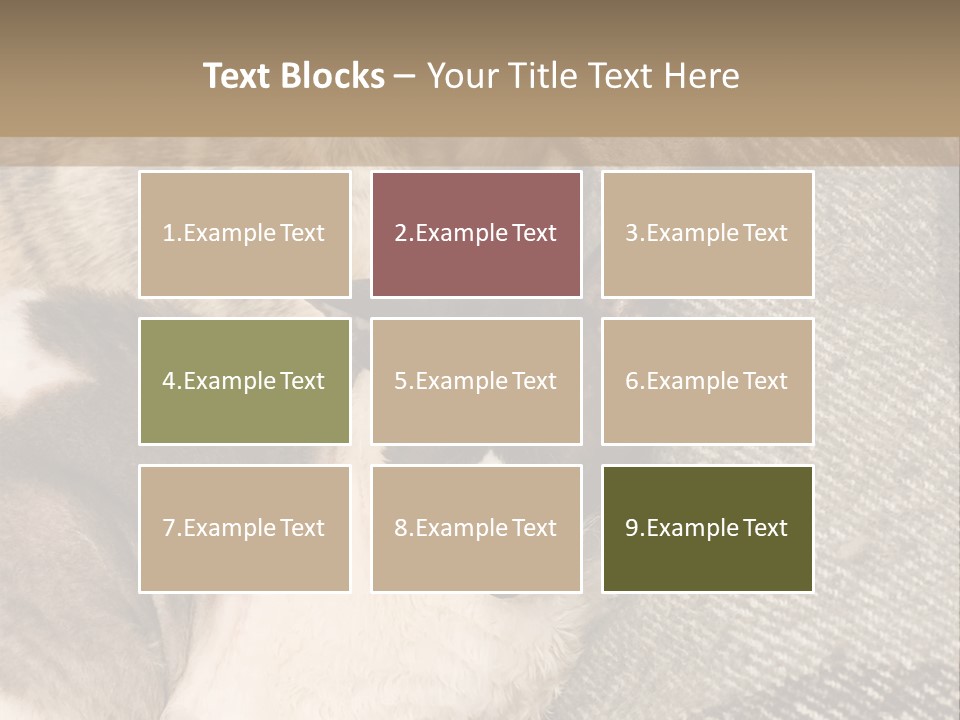 Elderly Woman With Her Daughter PowerPoint Template