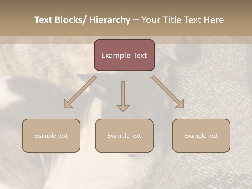 Elderly Woman With Her Daughter PowerPoint Template