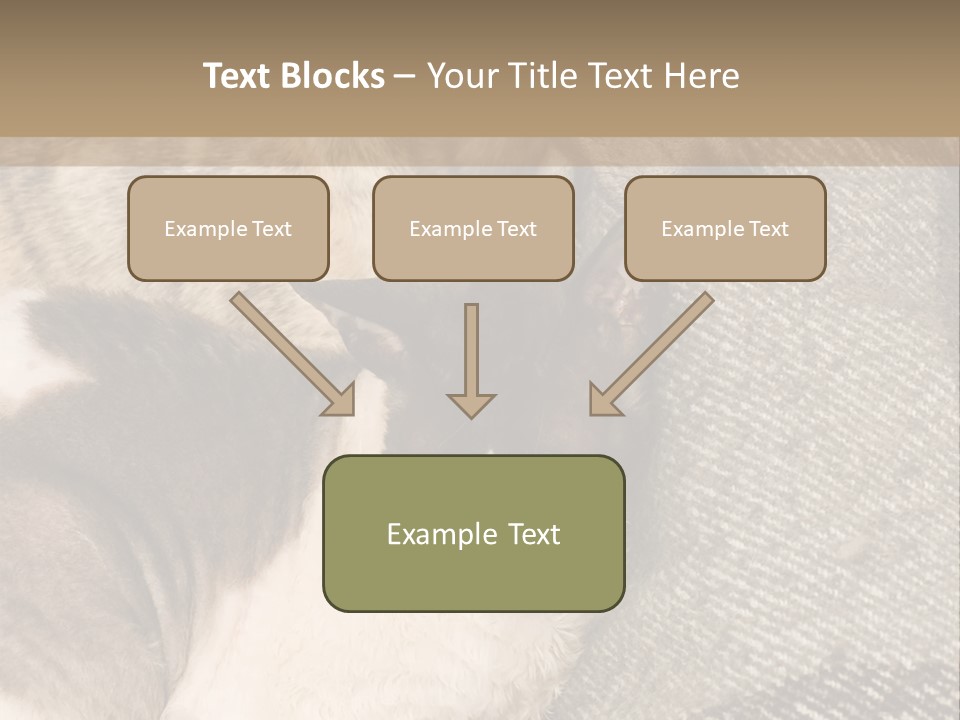 Elderly Woman With Her Daughter PowerPoint Template