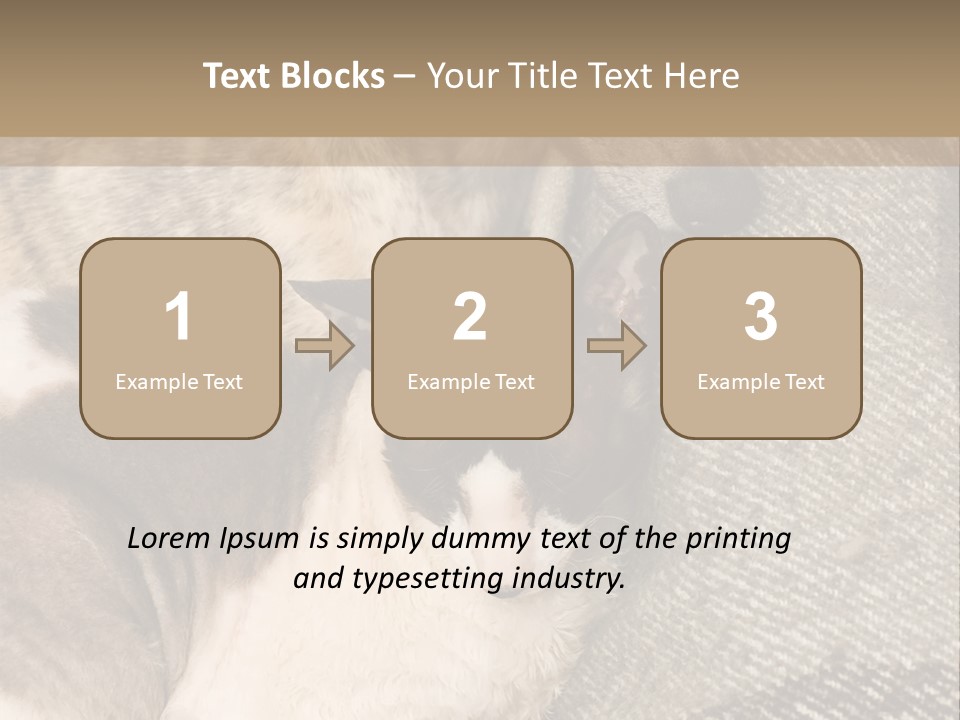 Elderly Woman With Her Daughter PowerPoint Template