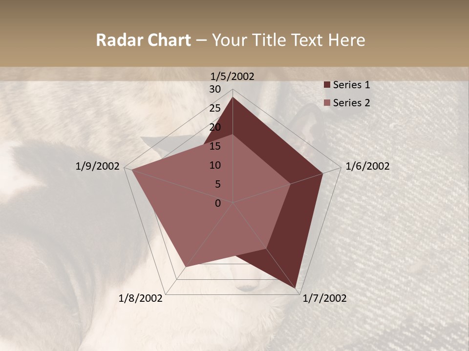 Elderly Woman With Her Daughter PowerPoint Template