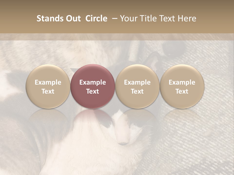 Elderly Woman With Her Daughter PowerPoint Template