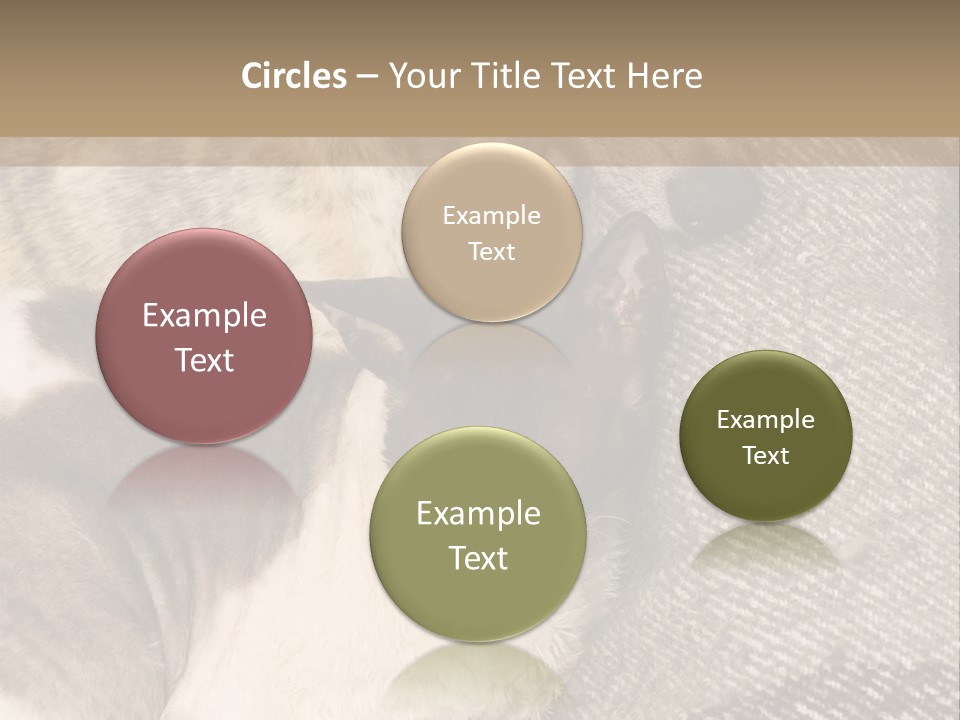 Elderly Woman With Her Daughter PowerPoint Template