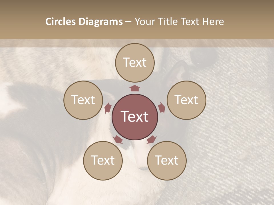 Elderly Woman With Her Daughter PowerPoint Template