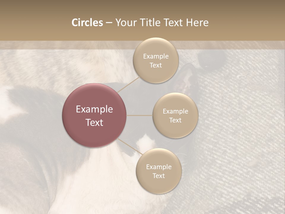 Elderly Woman With Her Daughter PowerPoint Template