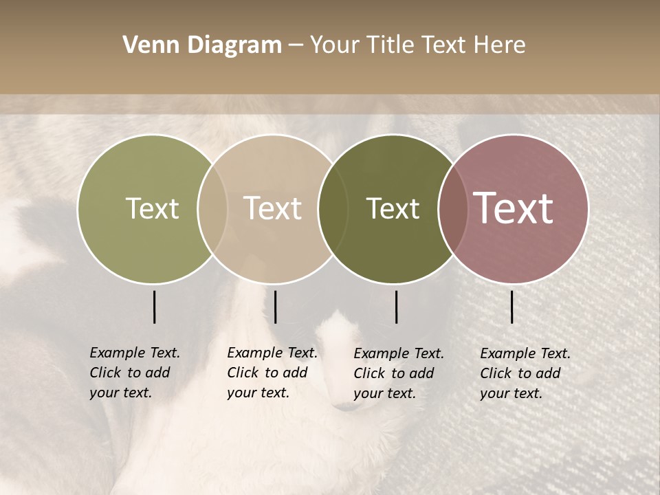 Elderly Woman With Her Daughter PowerPoint Template