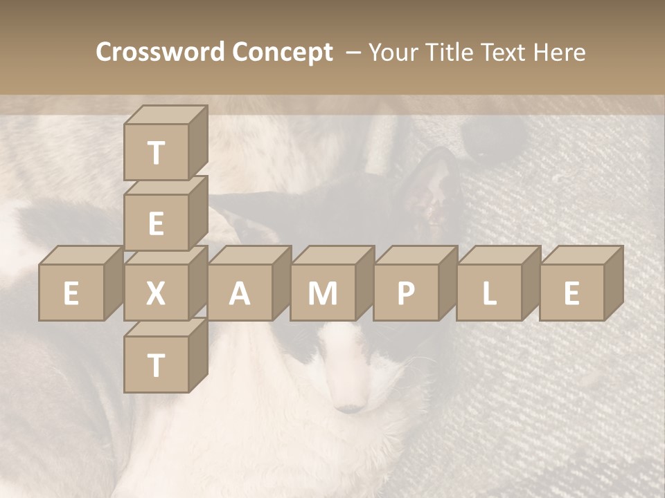 Elderly Woman With Her Daughter PowerPoint Template