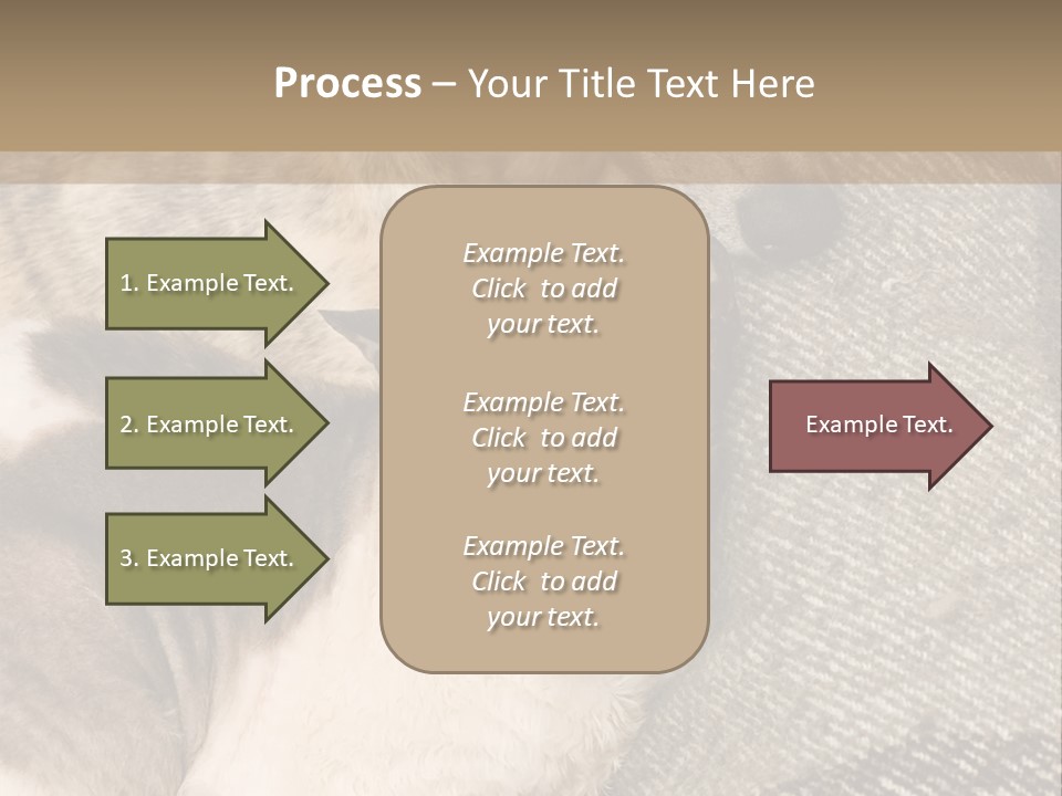 Elderly Woman With Her Daughter PowerPoint Template